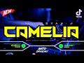 Download Lagu DJ CAMELIA - IRWANSYAH‼️ VIRAL TIKTOK || FUNKOT VERSION