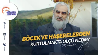 Böcek ve haşerelerden kurtulmakta ölçü nedir?