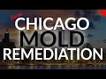Local Black Mold Remediation Chicago IL 708 695-6347 Chicago Black Mold Remediation Nearby