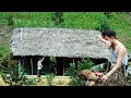 Download Lagu Moeilijkheden, uitdagingen, vreugde: Kan Thanh Duong ze overwinnen?