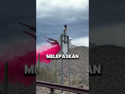 Cepat Lari Jika Kamu Melihat Pesawat ini! 😨