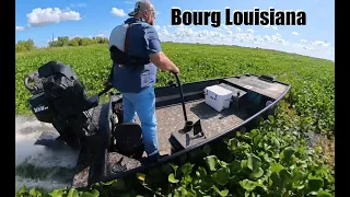 Rippin GatorTails In Bourg Louisiana