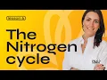 The Nitrogen Cycle Lesson 6 Year 13 Free Stream