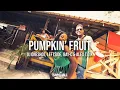 Download Lagu DJ Oneshot, Leftside \u0026 Bay-C - Pumpkin Fruit ft. Alex T.O.K. (Official Video)