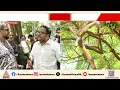 Download Lagu എങ്ങനെ താഴെയിറക്കും?... വെള്ളം ചീറ്റിച്ച് പാമ്പിനെ താഴെയിറക്കാൻ ശ്രമം, സ്ഥലത്ത് ജനക്കൂട്ടം | Python