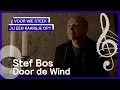 Download Lagu Stef Bos – Door de wind | Voor wie steek jij een kaarsje op?