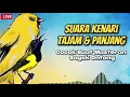 Download Lagu 🔴LIVE MASTERAN SOGON — SUARA KENARI NEMBAK PANJANG!!🔥 BIKIN SOGON AUTO NGEPLONG TANPA HENTI!! #sogon