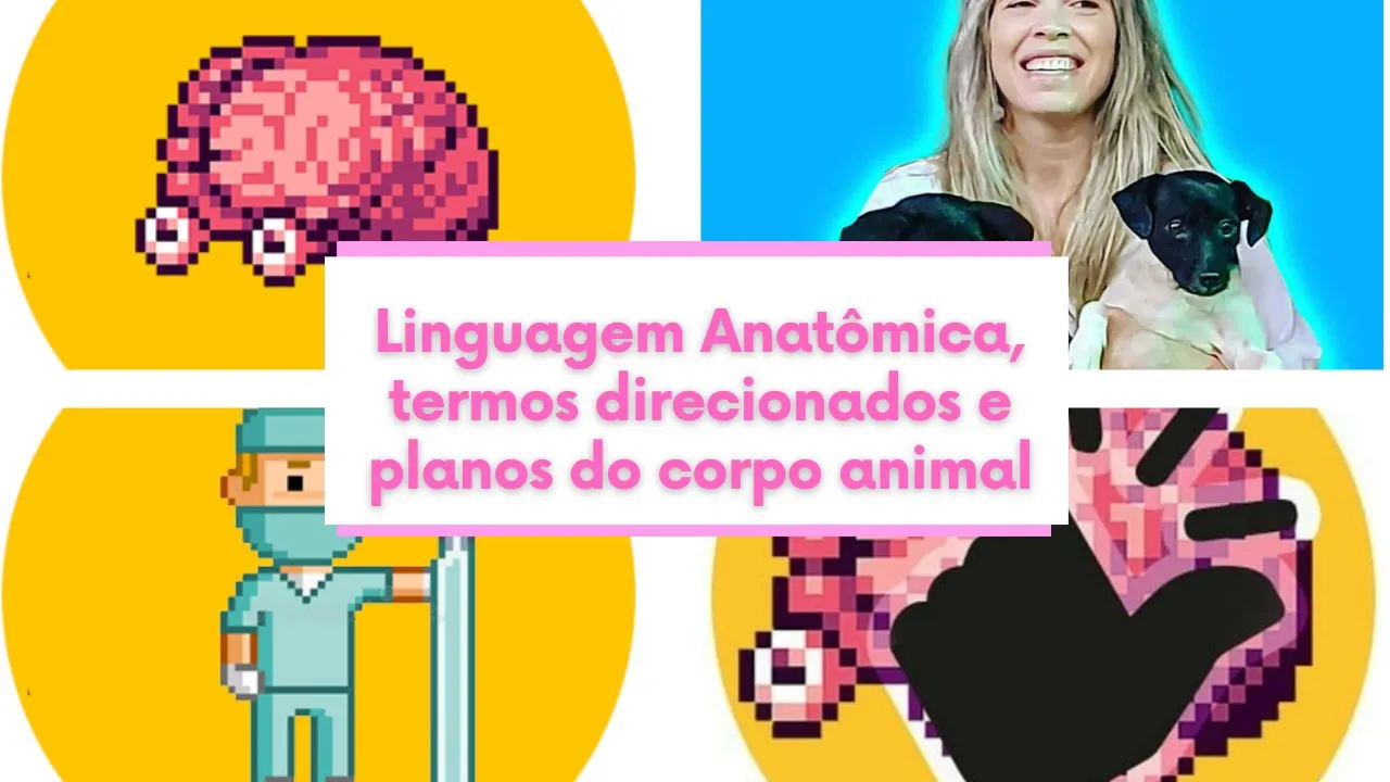 Linguagem Anatômica, termos direcionados e planos do corpo animal