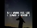 Download Lagu DJ I Wanna Feel Like ( Slowed + Reverb )