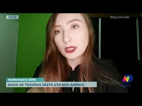 Abandonar é crime, quais os traumas deste ato nos animais