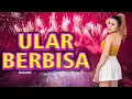 Download Lagu FUNKOT‼️ULAR BERBISA‼️BY DJ RERE MONIQUE REMIX
