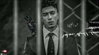 حلات واتس حمو الطيخا حب مين مبقتش احب يبنأدمين دندنها