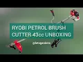 Ryobi Brush Cutter Unbox and Test letsgardens