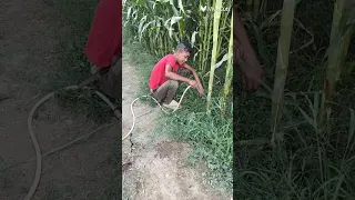 اغنية مسلسل ذئاب الجبل الفنان علي الحجار فديوهات التيك توك الشعب الصيني ماله حل اكسبلور 