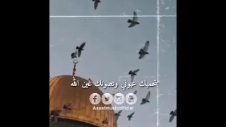 ياطير الطاير يا رايح عالديرة   محمد عساف دندنها