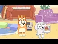 Download Lagu BLUEY BINGO LET'S TAKE A PICTURE YOU \u0026 ME SONG
