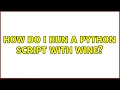 How do I run a python script with Wine