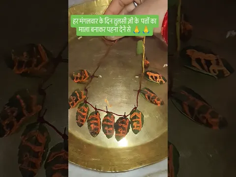 हर मंगलवार के दिन तुलसी ज़ी के पत्तों का माला बनाकर हनुमान ज़ी को 🙏🙏 #hanumanji #motivational