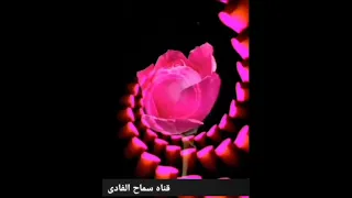 البابا كيرلس 