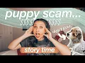I WAS PUPPY SCAMMED story time