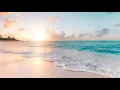 This is the Life - Kolohe Kai (Official Lyric Video)