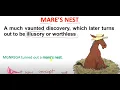Download Lagu Mare's Nest