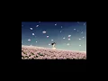 milkweed butterfly smush | slowed and reverb