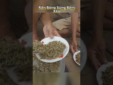 Mồi Bén Miền Tây: Lai Rai 'Rắn Bông Súng' Giữa Đồng Mùa Nước Nổi | Nét Quê