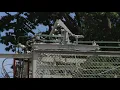 Power outages continue across Northeast Ohio