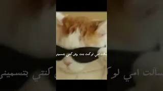 هاي معاكم ترف دندنها