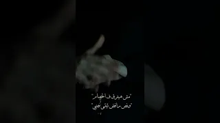 ستوريات انستا حالات واتس اب اغاني مسلم اتنسيت 