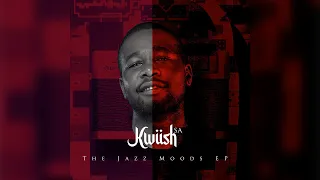 kwiish sa skyf moment main mix feat moscow chcco u0026 mdu aka trp visualizer 