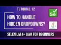 How to Handle Hidden Dropdown in Web automation Tutorial 12 Selenium tutorial for beginners