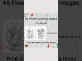 45 Printable Flower Coloring Pages