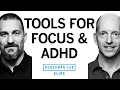 Best Tools for Focus AD Dr John Kruse Dr Andrew Huberman