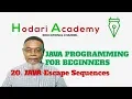 Java Programming for Beginners - 20 Java Escape Sequences