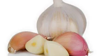 kankancewar azzakari da saurin inzali