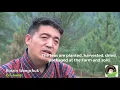 Download Lagu Herbal Tea Farm in Bhutan #organic #bhutan #tea