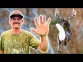 5 Deer Hunting Tips I Wish I Knew Sooner