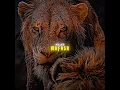 Download Lagu 💖 Scar told Simba the truth. #movie #film #shorts