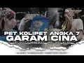Download Lagu DJ BANTENGAN • PETKOLIPET GARAM CINA • MBEROT VELOCITY STYLE • Viral Tiktok • DJ ANDIKA MP3