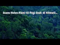 Download Lagu Suara Hutan Pagi Hari | Forest ambience sounds effect | Suara Pagi Hari di Pegunungan #suaraalam
