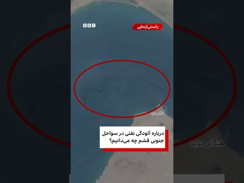 درباره آلودگی نفتی جنگل‌های حراچه می‌دانیم؟
