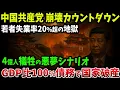 Download Lagu 【海外の反応】中国共産党の最終カウントダウンが始まった！若者失業率20％、地方債務GDP100％で中国経済は崩壊寸前【ゆっくり解説】