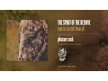 Download Lagu The Spirit of the Beehive - time to scratch them all