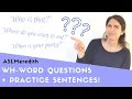 WH-question signs and sentences with WHO WHAT WHEN WHERE WHY and HOW in American Sign Language