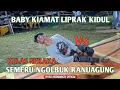 Lagu BABY KIAMAT LIPRAK KIDUL VS SEMERU NGOLBUK RANU AGUNG KLS 60KG TARIK TAMBANG GUNUNGGENI PROBOLINGGO