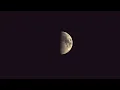 Moon Phases in 2024