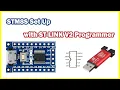 STM8S programming using ST-LINK V2 STVD IDE and COSMIC compiler set-up STM8S103F LED Blink