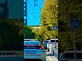 Download Lagu 🍁🍁Равнодушная осень🍁🍁- Евгений Голубев